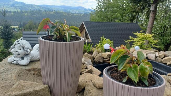 DOM W GÓRACH LALIKI WYPOCZYNEK NAJEM