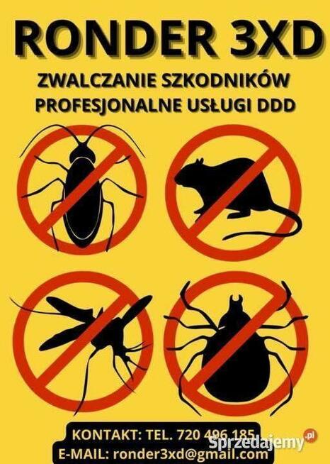 Usługi DDD (pluskwy mrówki osy ) zwalczanie szkodników