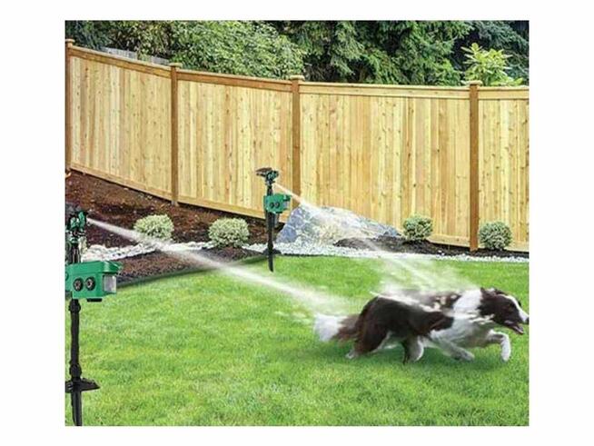 Isotronic Odstraszacz na ptaki koty dziki lisy psy Solarny