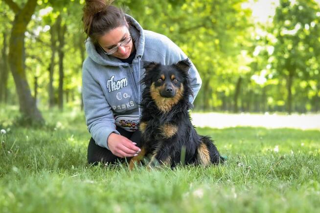 Korek-psiak po przejsciach czeka na cierpliwy dom-adopcja