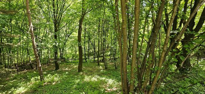 Urokliwa działka 23 ary z domkiem z bali –rezerwat Zimny Dół