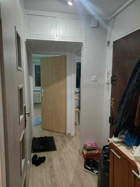 Kawalerka do wynajęcia w Piasecznie