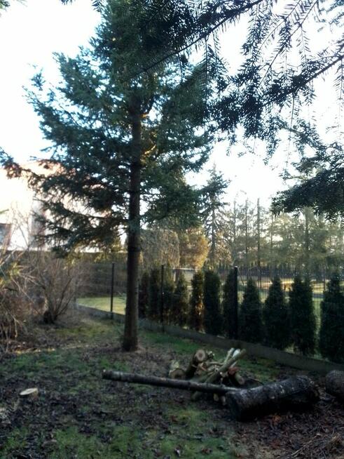 Dom duzy 3x80m kw z przyziemiem w Żywcu