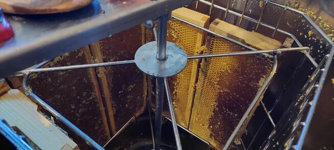 Sprzedam miód wierzbowo-klonowy