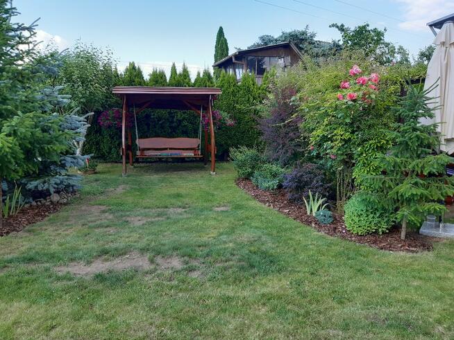 Sprzedam działkę ROD „Nad Łydynią” - Ciechanów