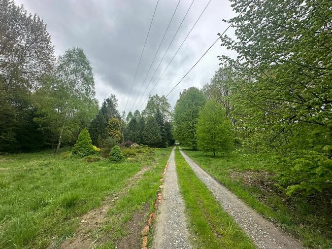 Syndyk ogłasza konkurs na sprzedaż 1/2 w nieruchomości