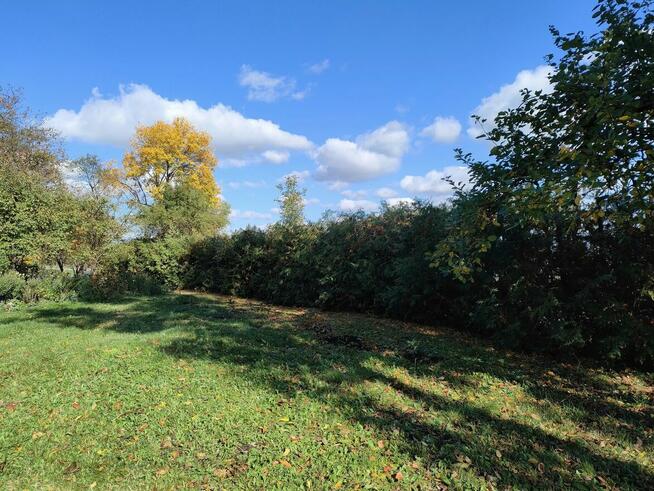 Usługa do działek, ogrodów i prac przydomowych.