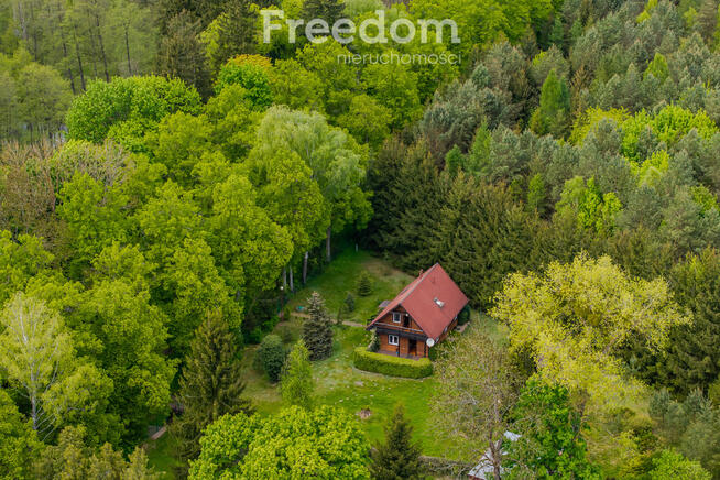 Dom w lesie nad rzeką