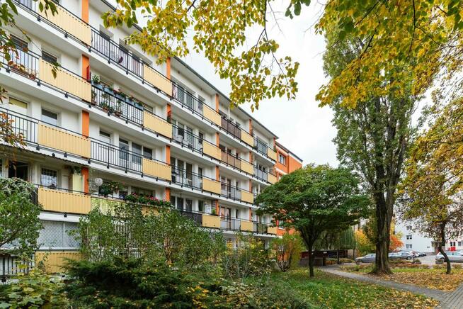 Mieszkanie Warszawa, Międzyborska