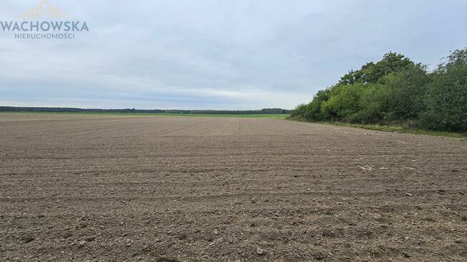 Działka rolno-budowlana Podła Góra gm. Skąpe