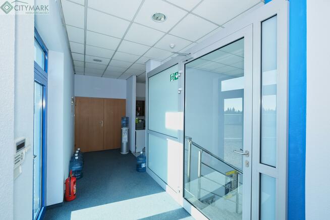 Lokal użytkowy Opacz Kolonia gm. Michałowice