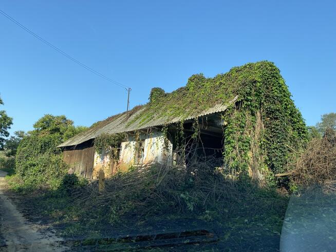 Domek do generalnego remontu / rozbiórki