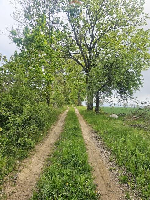 Ziemia rolna na sprzedaż – Dębnik k. Reszla