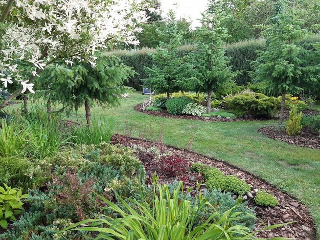 Sprzedam działkę ROD „Nad Łydynią” - Ciechanów