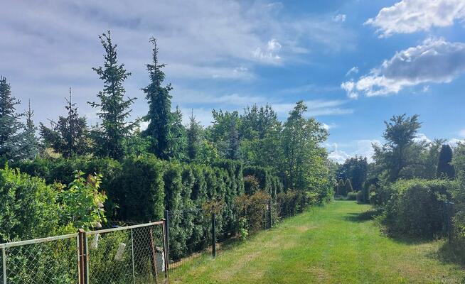 Sprzedam działkę ROD „Nad Łydynią” - Ciechanów