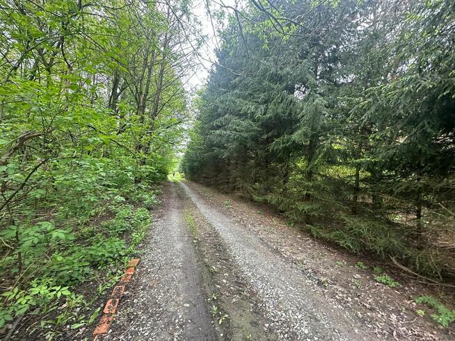 Syndyk ogłasza konkurs na sprzedaż 1/2 w nieruchomości