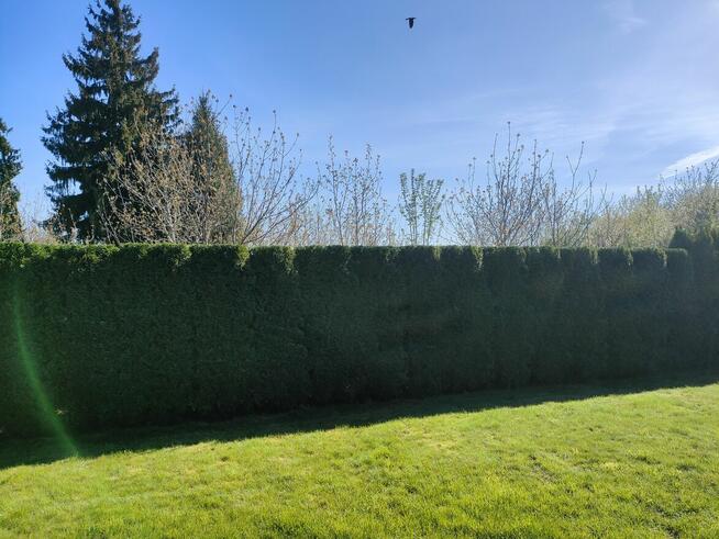 Usługa do działek, ogrodów i prac przydomowych.