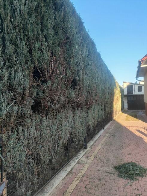 Usługa do działek, ogrodów i prac przydomowych.