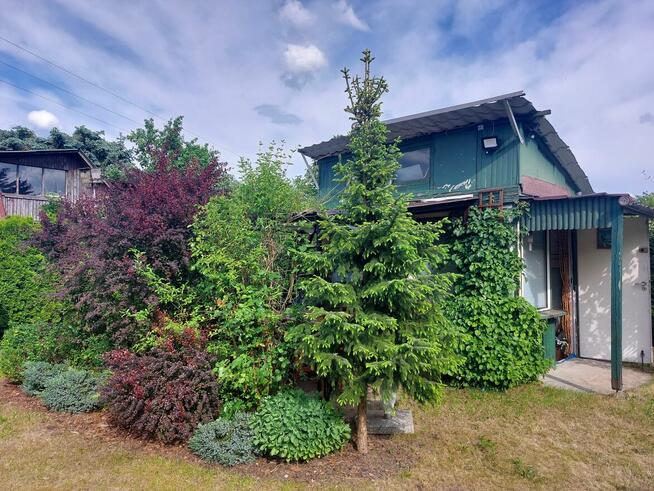 Sprzedam działkę ROD „Nad Łydynią” - Ciechanów