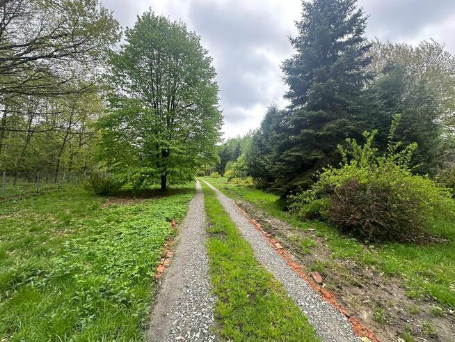 Syndyk ogłasza konkurs na sprzedaż 1/2 w nieruchomości