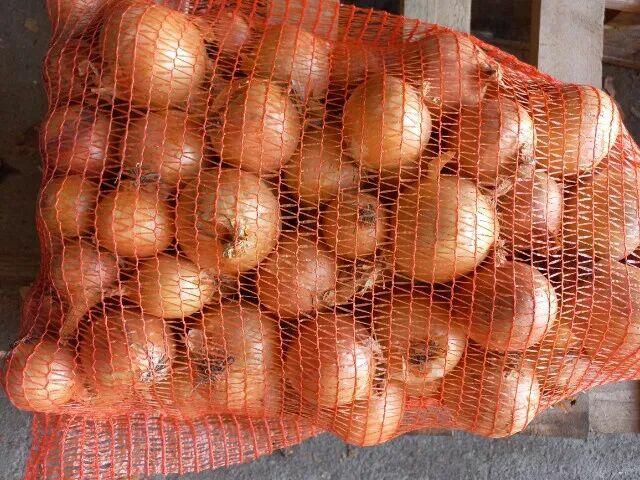 Sprzedam cebulę obraną białą, żółtą i zwykłą