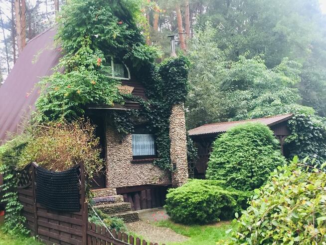 domek letniskowy kazdy na osobnej ogrodzonej działce