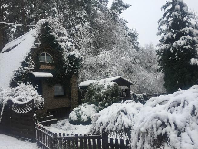 domek letniskowy kazdy na osobnej ogrodzonej działce