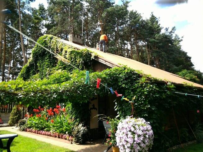 domek letniskowy kazdy na osobnej ogrodzonej działce