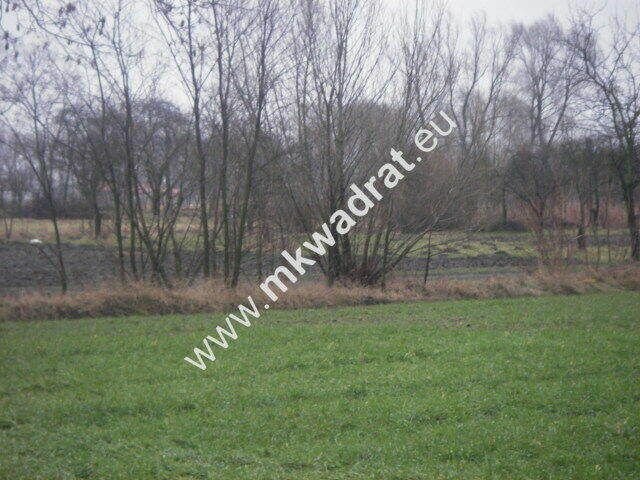 Działka Nowe izdebno