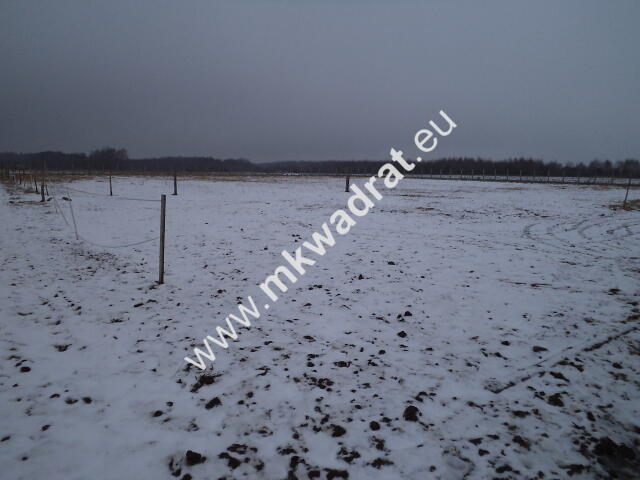Działka Powązki