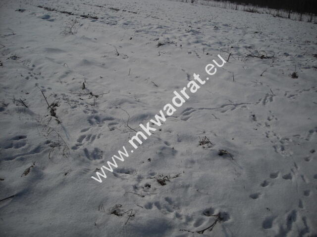 Działka Płochocin
