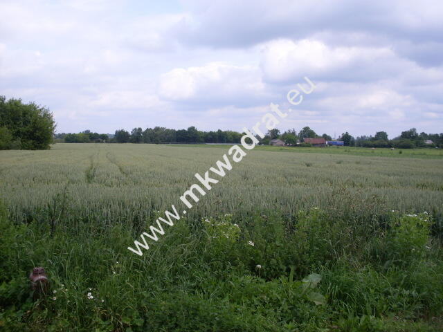 Działka Seroki-parcela