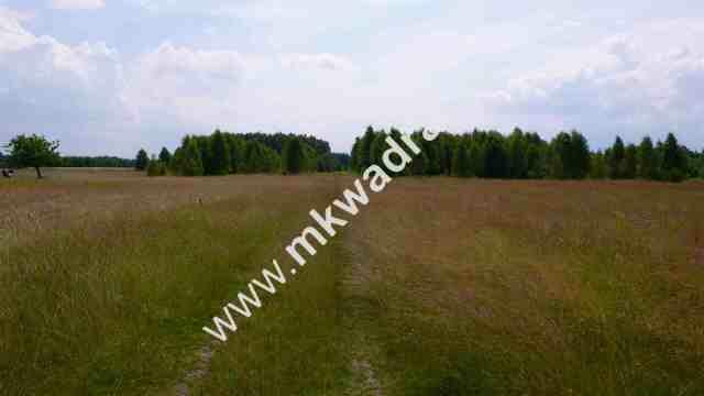 Działka Korabiewice