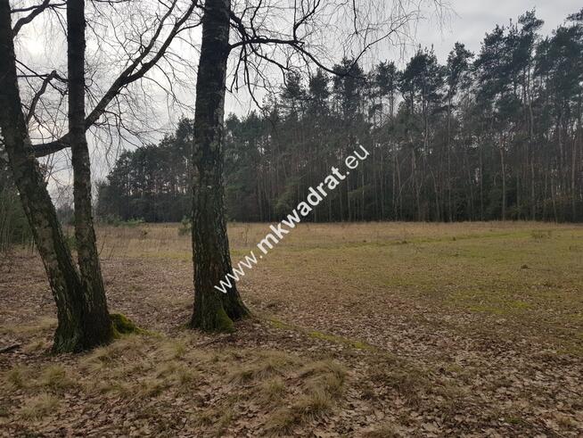 działka z planem zagospodarowania