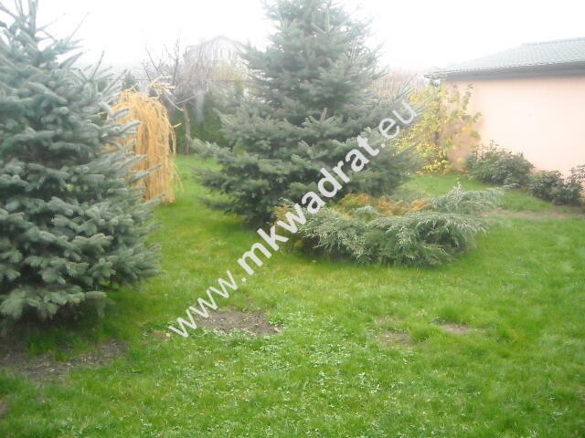 Dom parterowy 250m2 na dużej działce