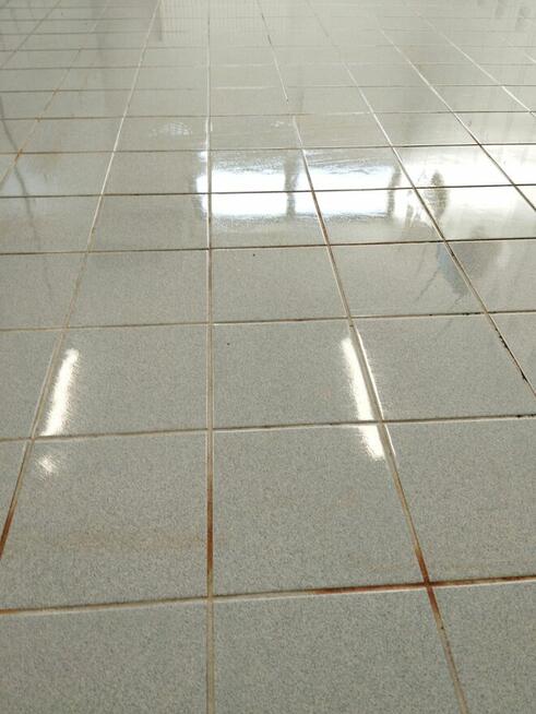 Sprzątanie mieszkań ogrodów koszenie trawy