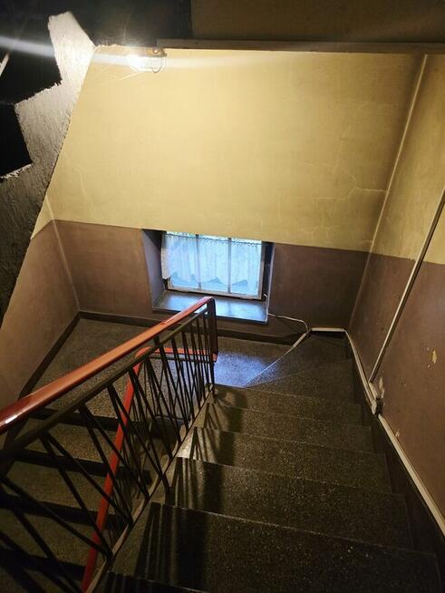 3 pokoje bezczynszowe mieszkanie z ogródkiem Pogoń