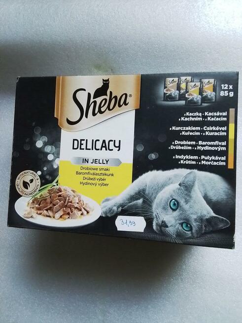 Mokra karma dla kotów*SHEBA DELICACY IN JELLY*