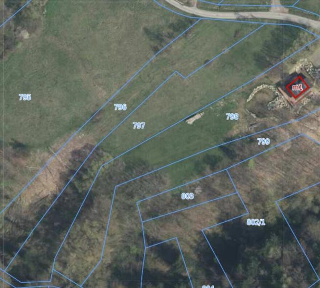 Sprzedam działkę Borzęta