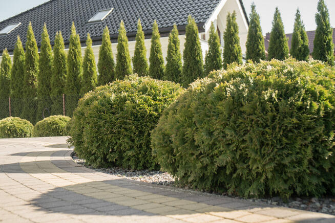 W świetnej lokalizacji, gotowy do zamieszkania