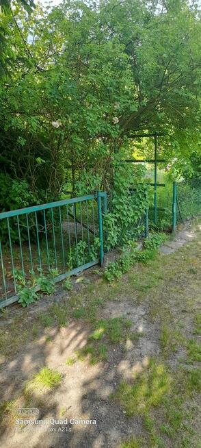 Ogródek ROD Poznań Miedzylesie