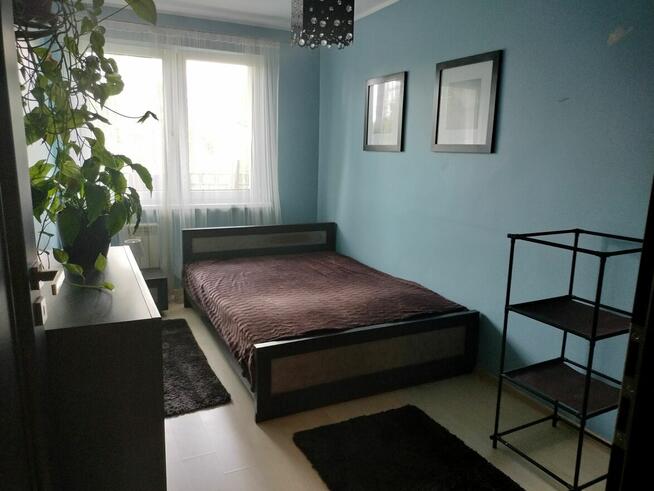 Atrakcyjne mieszkanie na wynajem - Bytków, 38 m2, 2 pokoje +