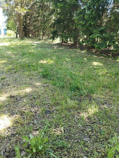 Sprzątanie mieszkań ogrodów koszenie trawy