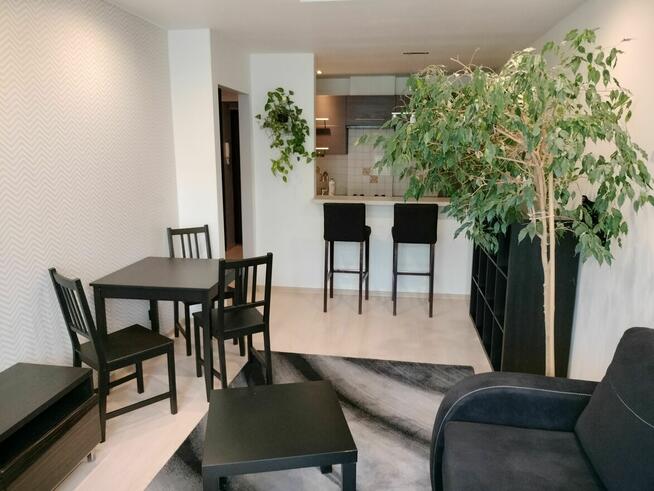 Atrakcyjne mieszkanie na wynajem - Bytków, 38 m2, 2 pokoje +