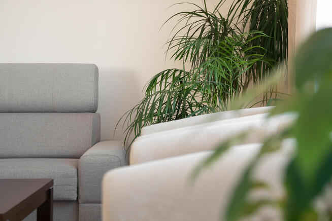 W świetnej lokalizacji, gotowy do zamieszkania