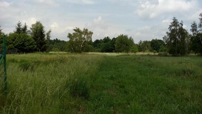 Budowlana Lisowice/Prochowice