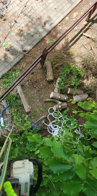 Sekcyjna wycinka drzew, usługi rębakiem Śląsk Cieszyński