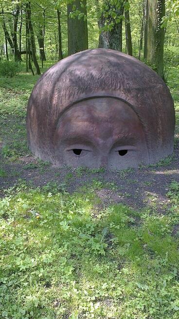 Kogo tu poznac mozna ...?