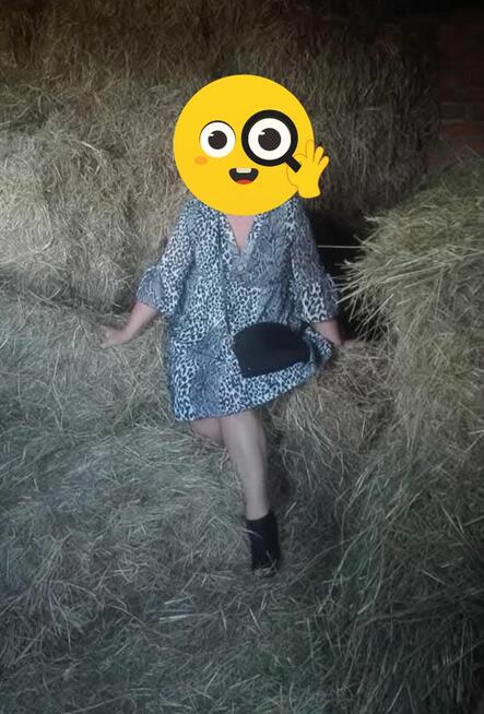 Pani szuka pani