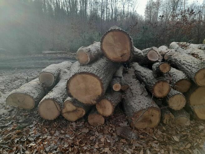 Drewno Opałowe - Opał Kominek Koza Piec